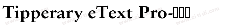 Tipperary eText Pro字体转换 Tipperary eText Pro字体转换
